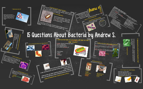 research questions about bacteria