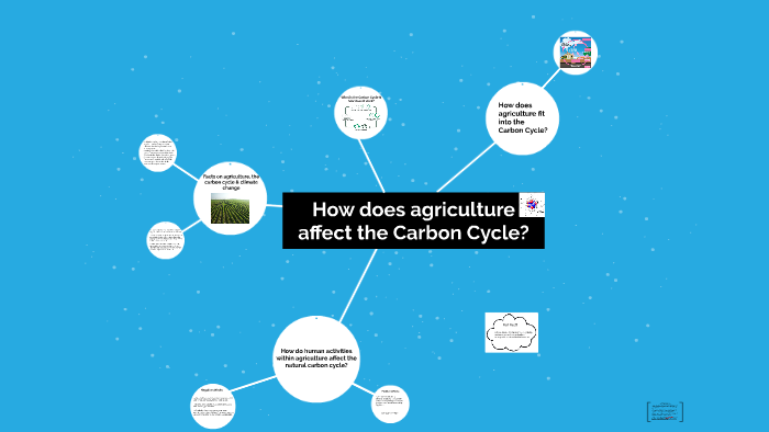 how-does-agriculture-affect-the-carbon-cycle-by-chloe-anderson