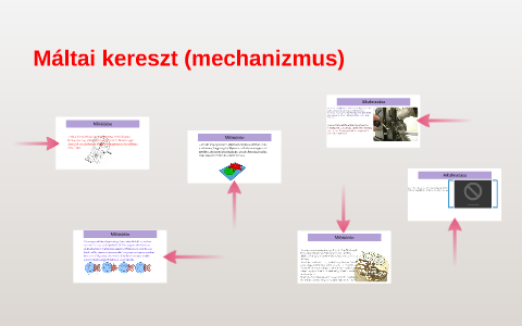 m-ltai-kereszt-mechanizmus-by-p-csik-b-lint-on-prezi