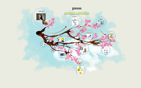 metodo cientifico by on Prezi
