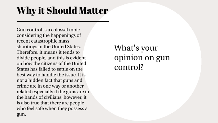 gun control research question