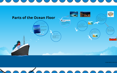 Parts Of The Ocean Floor By Katelyn Lusk On Prezi