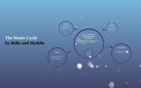 The Water Cycle by on Prezi