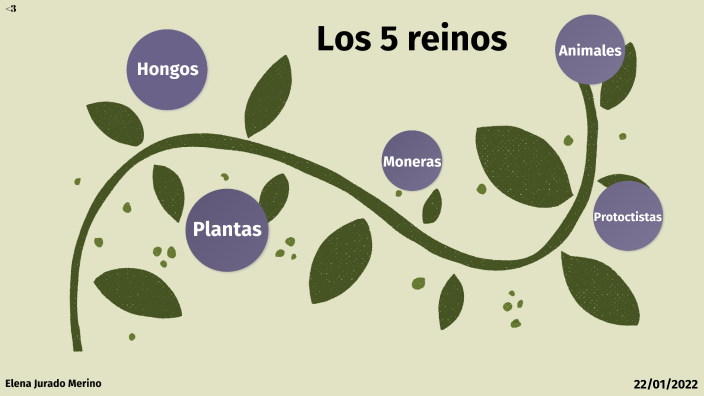 Los 5 Reinos by Elena Jurado Merino on Prezi