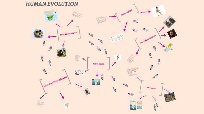 HUMAN EVOLUTION by Marusi Fernandez on Prezi