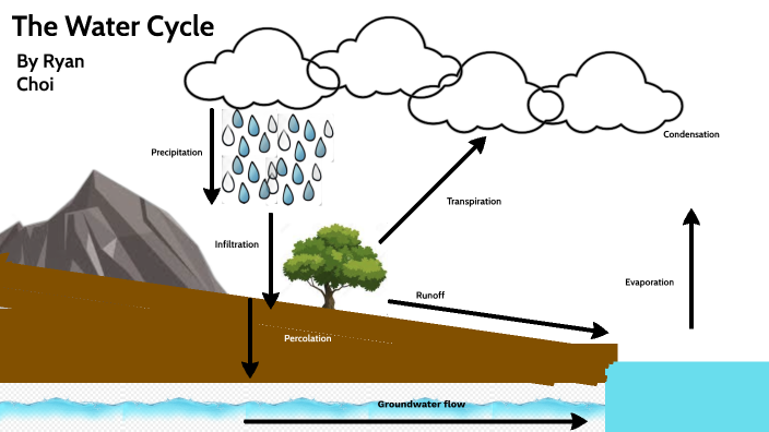 APES Water Cycle Project by Ryan Choi on Prezi