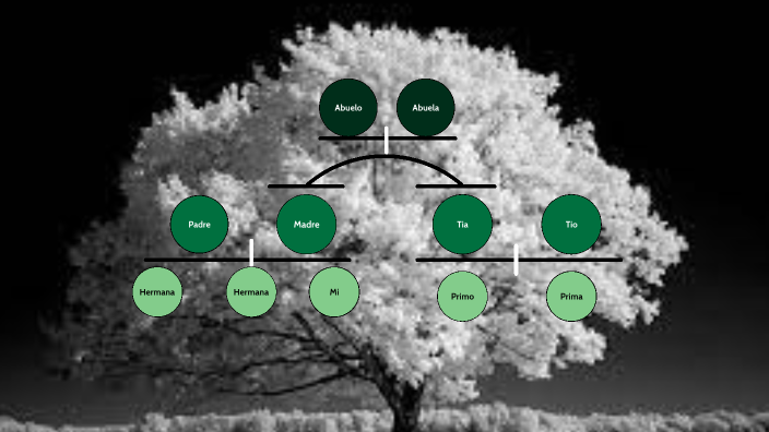 Family Tree by Alyssa Lopez on Prezi