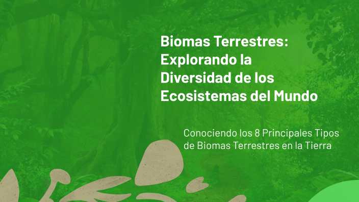 Biomas Terrestres: Explorando la Diversidad de los Ecosistemas del ...
