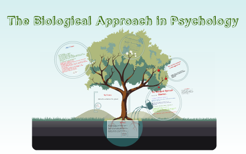 The Biological Approach In Psychology By Uzair Zafar On Prezi