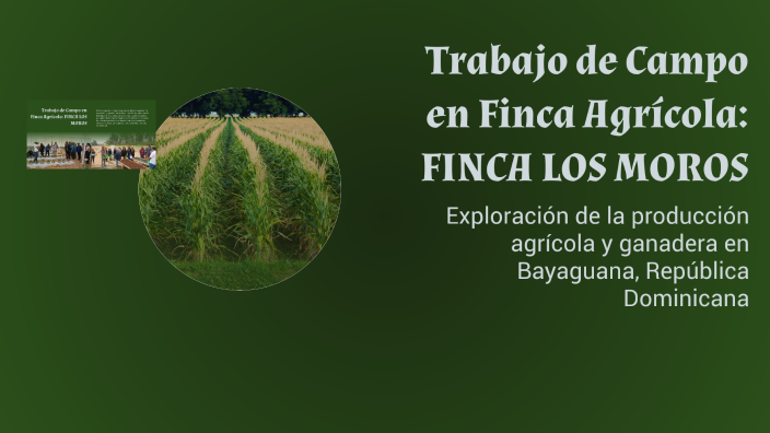 Trabajo De Campo En Finca Agr cola FINCA LOS MOROS By Jensy Frias On Prezi trabajo-de-campo-en-finca-agr-cola-finca-los-moros-by-jensy-frias-on-prezi