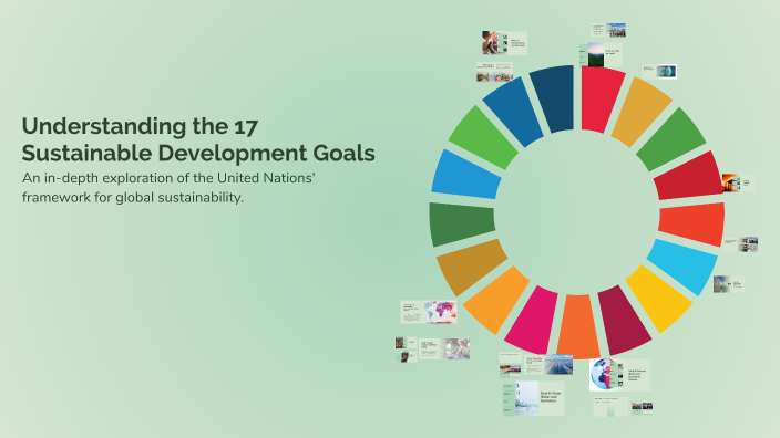 Understanding the 17 Sustainable Development Goals by Reine Vincent ...