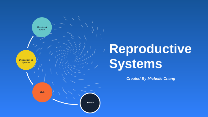 Female Reproductive System Concept Map