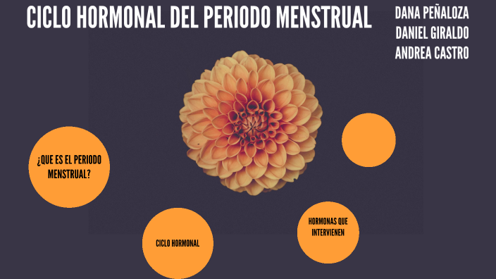 Ciclo Hormonal Del Periodo Menstrual By Daniel Felipe Giraldo Lucumi 8108