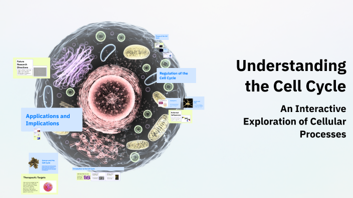 Understanding the Cell Cycle by Ivan Dangiwan on Prezi