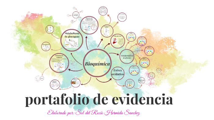 portafolio de evidencia by sol del rocio hermida sanchez on Prezi