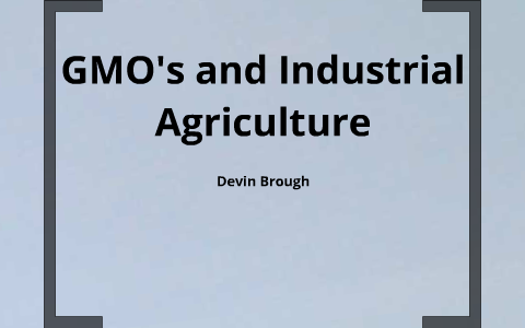 GMO's by devin brough on Prezi