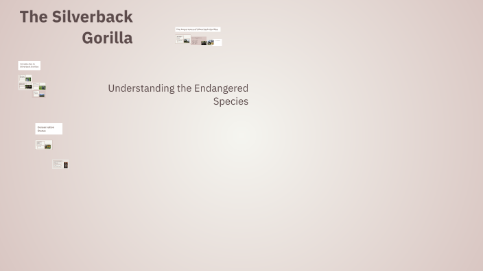 The Silverback Gorilla by Martin NAKOV on Prezi