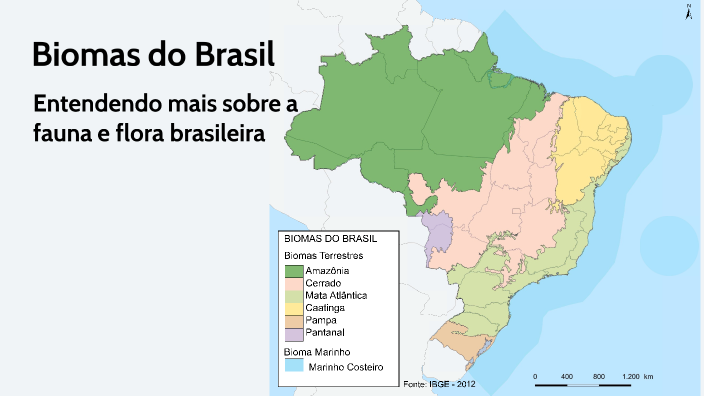 Biomas Brasileiros by WESLEY DOS SANTOS ARAUJO on Prezi