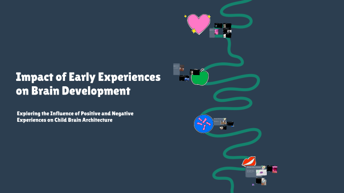 Impact of Early Experiences on Brain Development by Jason Norman on Prezi