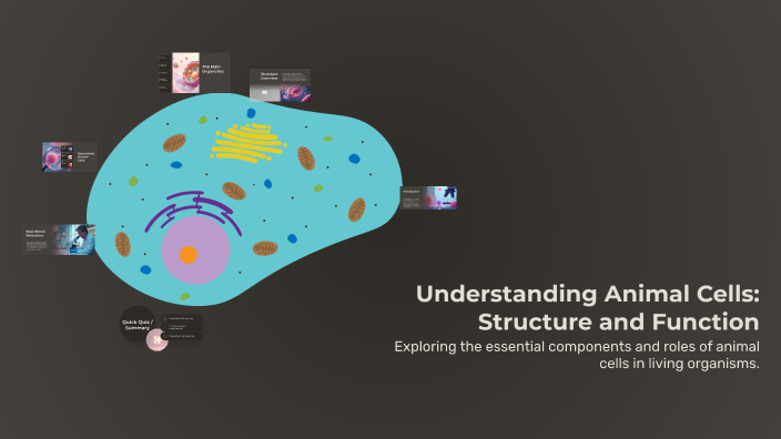 Understanding Animal Cells: Structure and Function by Kyle Meyers on Prezi