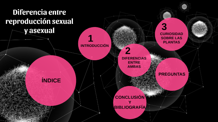 Diferencia Entre La Reproducción Sexual Y Asexual By Marta Vizcaíno ...