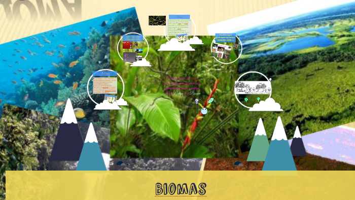 Biomas by Victoria Igler Alvarez on Prezi