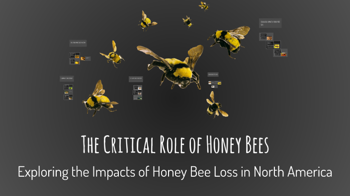 The Critical Role of Honey Bees by Corey Magill on Prezi