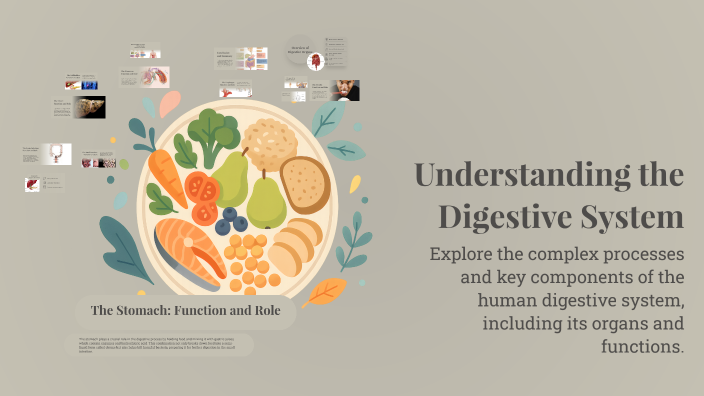 Understanding the Digestive System by Derek PerezBenitez on Prezi
