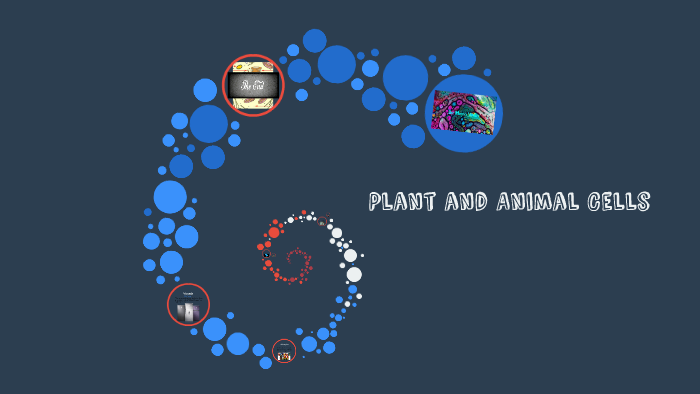 Plant and Animal Cells by Megan Mosby on Prezi