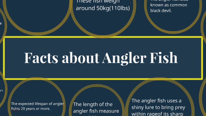 Facts about Angler Fish by Cairyll Guen Tayer