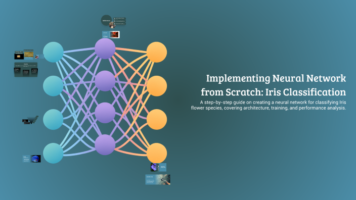 Implementing Neural Network from Scratch: Iris Classification by Orkun ...