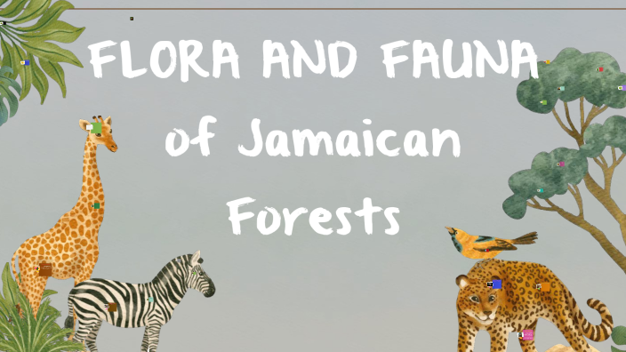 jamaican flora and fauna by Asia Holt on Prezi