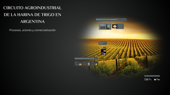 CIRCUITO AGROINDUSTRIAL DE LA HARINA DE TRIGO EN ARGENTINA by Animes ...