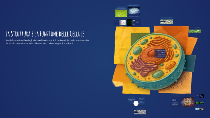 La Struttura e la Funzione delle Cellule by Luisa Barluzzi on Prezi