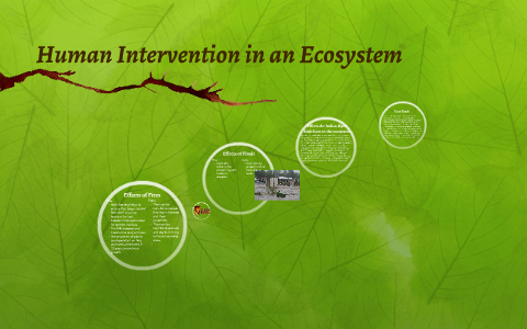 Human Intervention in an Ecosystem by Sophie Howard on Prezi Next