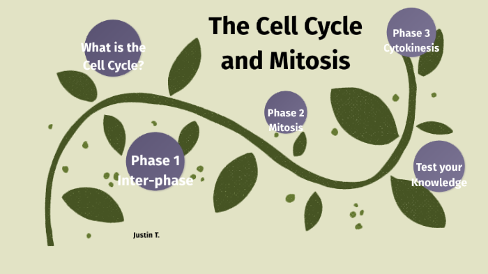 prezi presentation mitosis