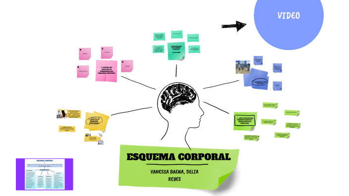 ESQUEMA CORPORAL - PSICOMOTRICIDAD by Vanessa Baena Rodriguez on Prezi