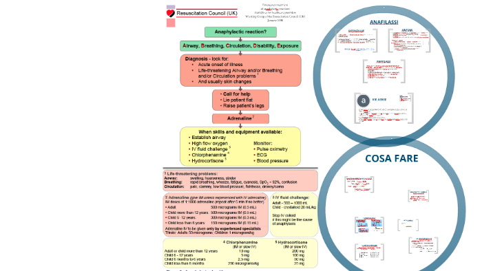 Anafilassi by Mario Rugna on Prezi