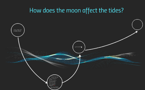 How Do Tides Vary During a Monthly Cycle? by Angel Torres