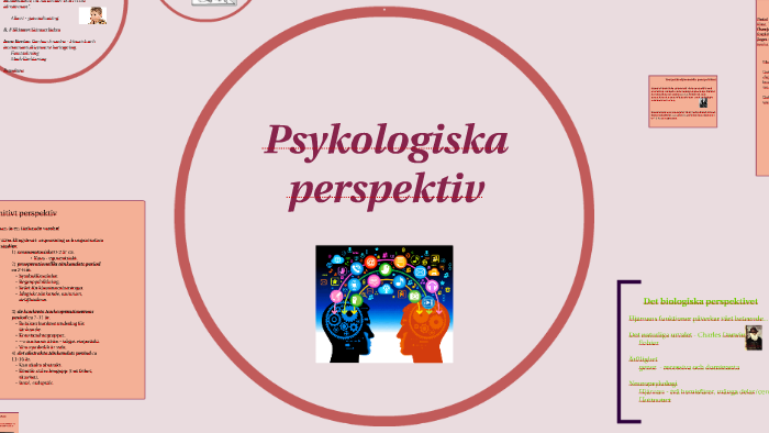 Psykodynamiska perspektivet faser