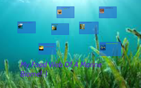 My Food Web Of A Marine Biome by Kristina Brown