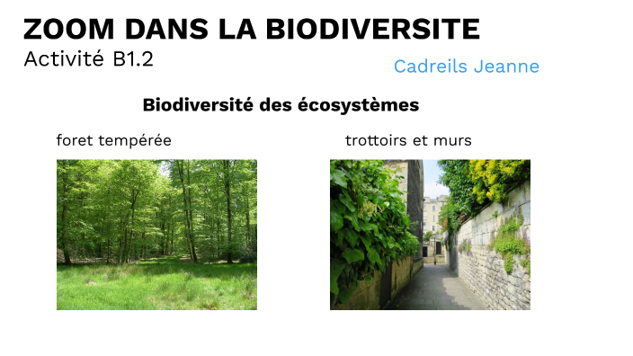 CADREILS Jeanne ZOOM dans la Biodiversité by Prezzi Hug on Prezi