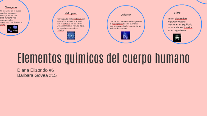 funcionamiento del nitrogeno linear unit el espécimen humano