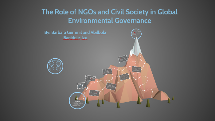 The Role of NGOs and Civil Society in Global Environmental by Courtney ...