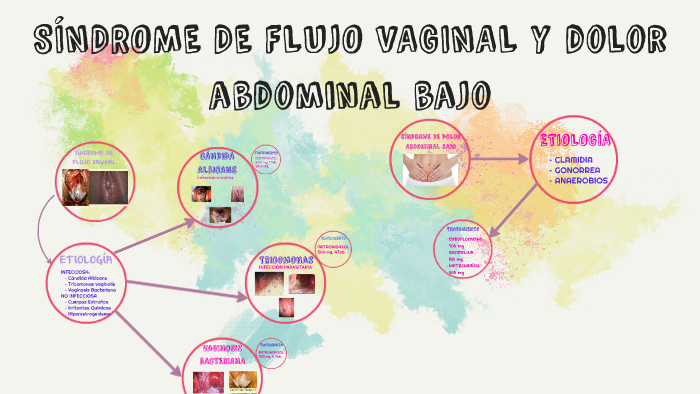 SÍndrome De Flujo Vaginal By Paolita Valdivia Romero On Prezi 8367