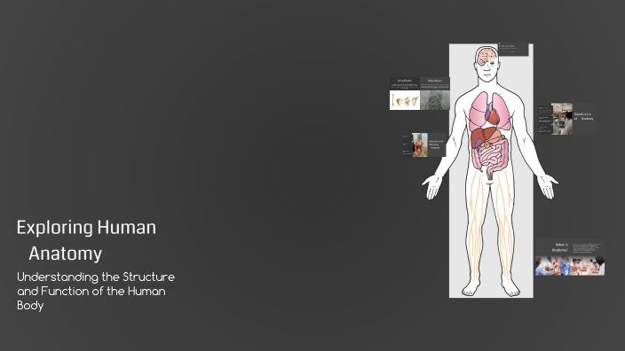 Exploring Human Anatomy by The king camer الملك جيمز on Prezi
