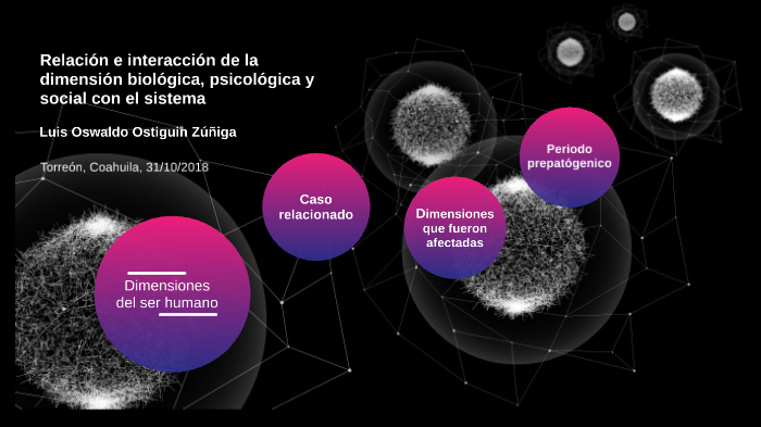 Evidencia De Aprendizaje Relación E Interacción De La Dimensión