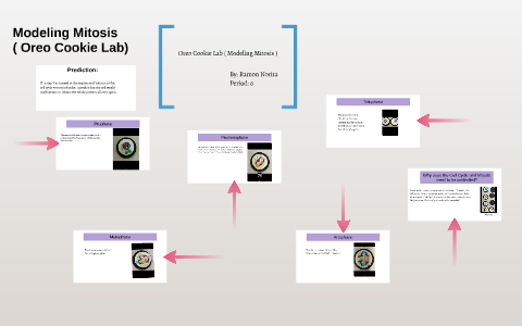 Modeling Mitosis Oreo Cookie Lab By Ramon Norita On Prezi