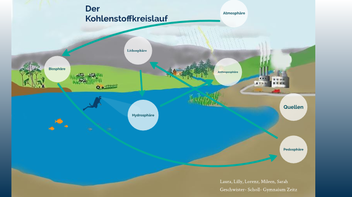Der Kohlenstoffkreislauf by Laura Rentsch on Prezi