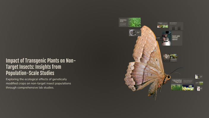 Impact of Transgenic Plants on Non-Target Insects: Insights from ...